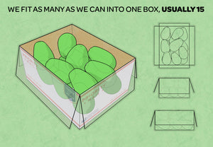 One Full Box (up to 15 avocados)