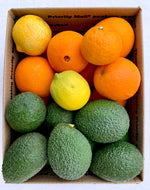 Mixed Avocado & Fruit Box