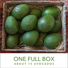 Load image into Gallery viewer, One Full Box (up to 15 avocados)