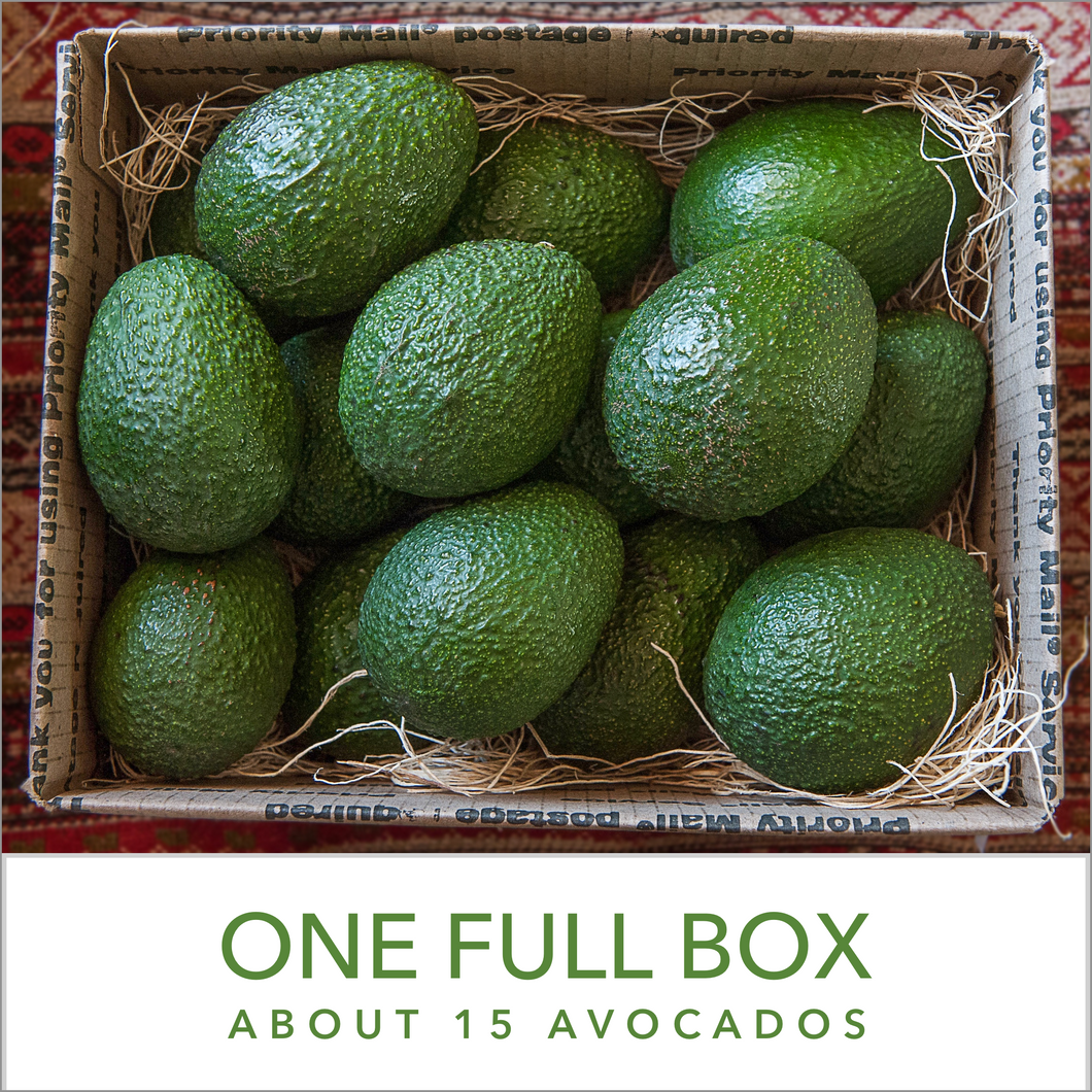 One Full Box (up to 15 avocados)